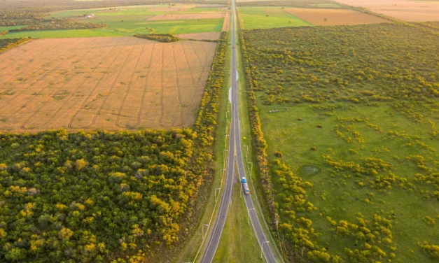 Cómo la ley de tierras se volvió tema de una generación